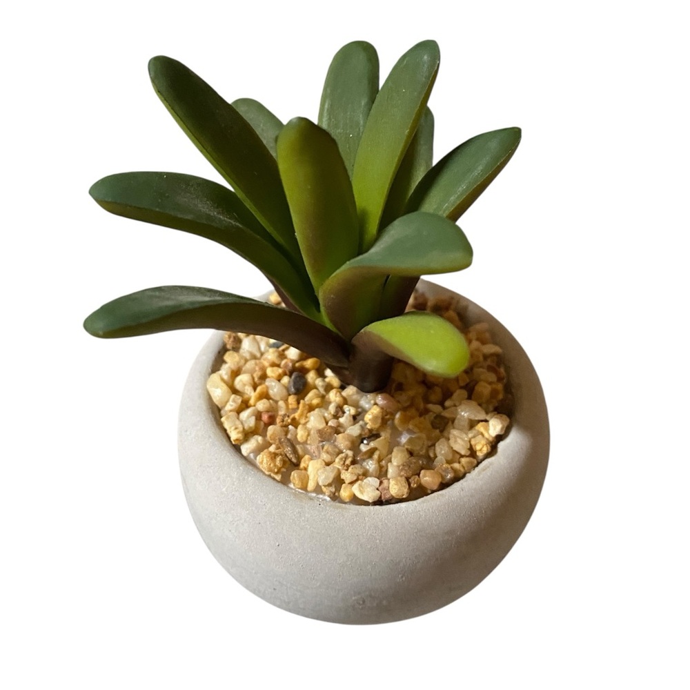 Artificial Succulent Plants in Cement Pots - Picture 4 of 8
